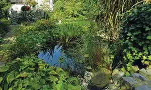 Image Image