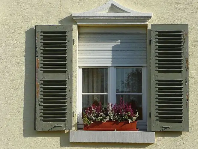 Image Image