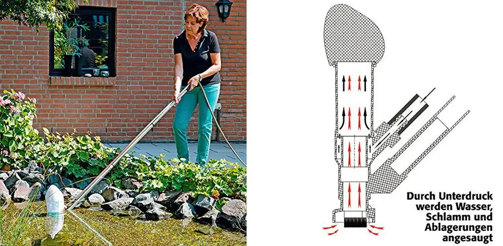 Присосочный пруд