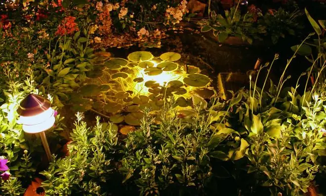 Технология прудов