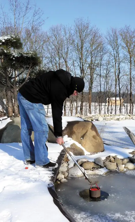 Держите пруд свободным ото льда