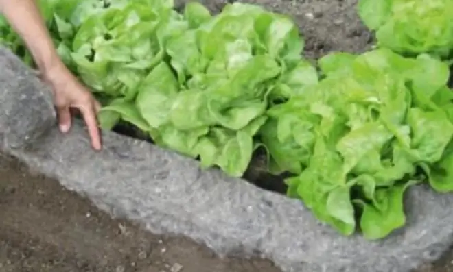 Червячный тормоз