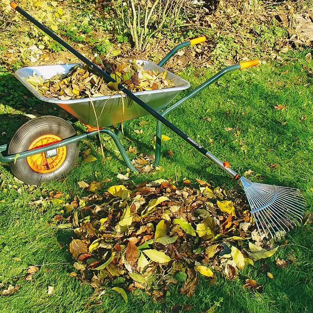 Компост оставляет