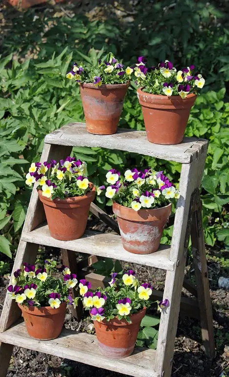 Цветочная лестница