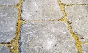 Image Image