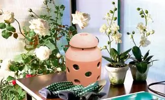 Морозная охрана