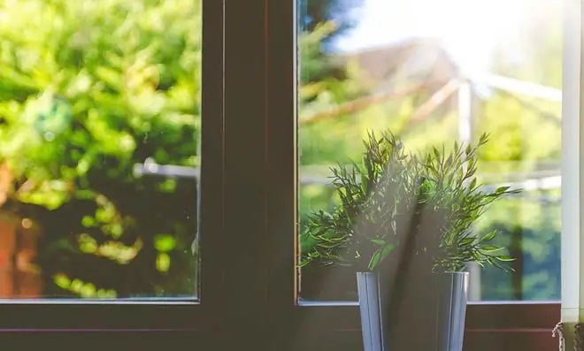 Завод солнечных ожогов