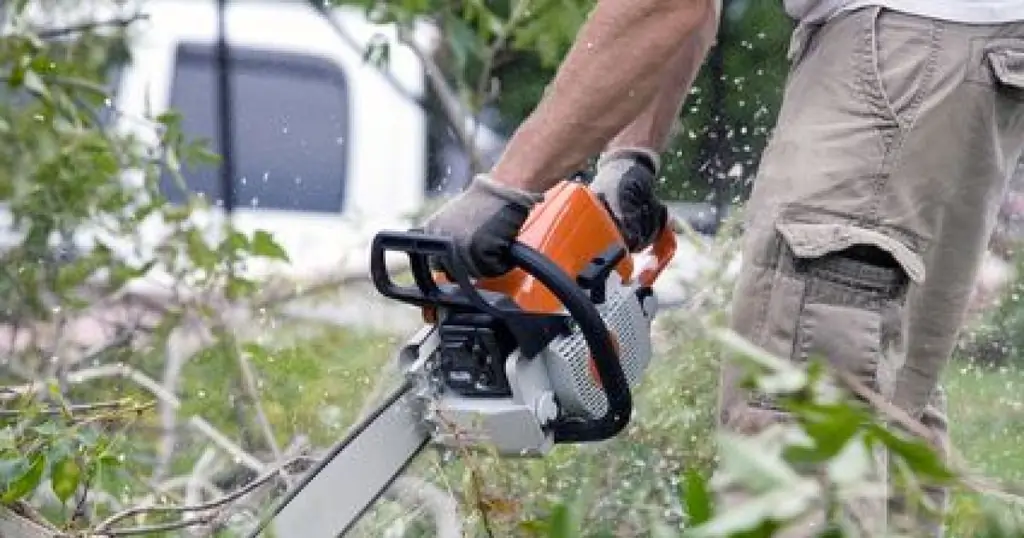 Валка дерева: как это сделать ?