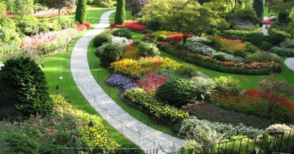 Сад священника, вы знаете, что это такое ?