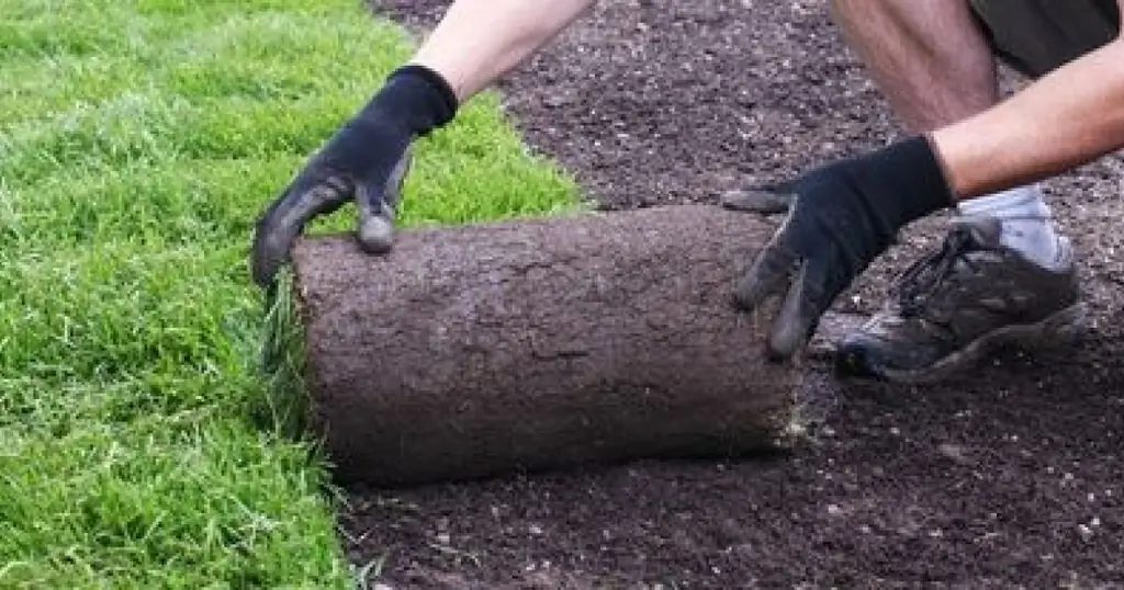 Как укладывать рулонную синтетическую траву ?