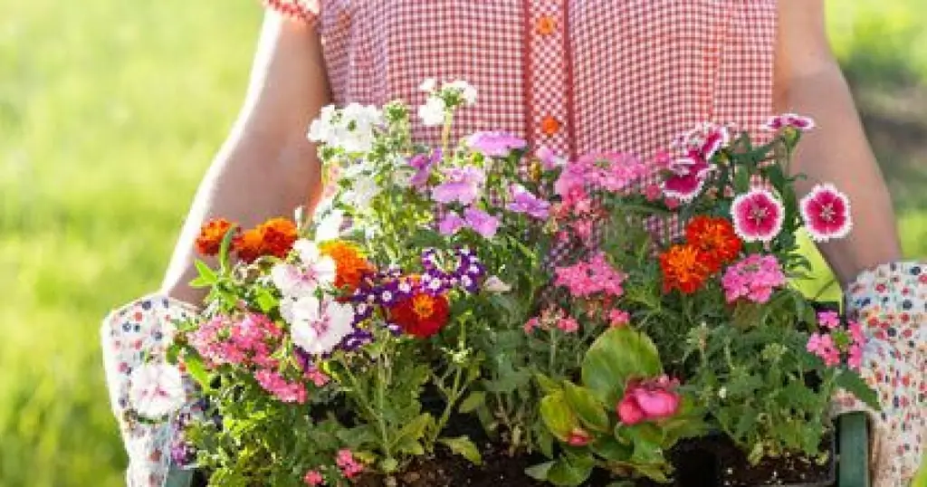 Выбор деревьев и растений для вашего сада