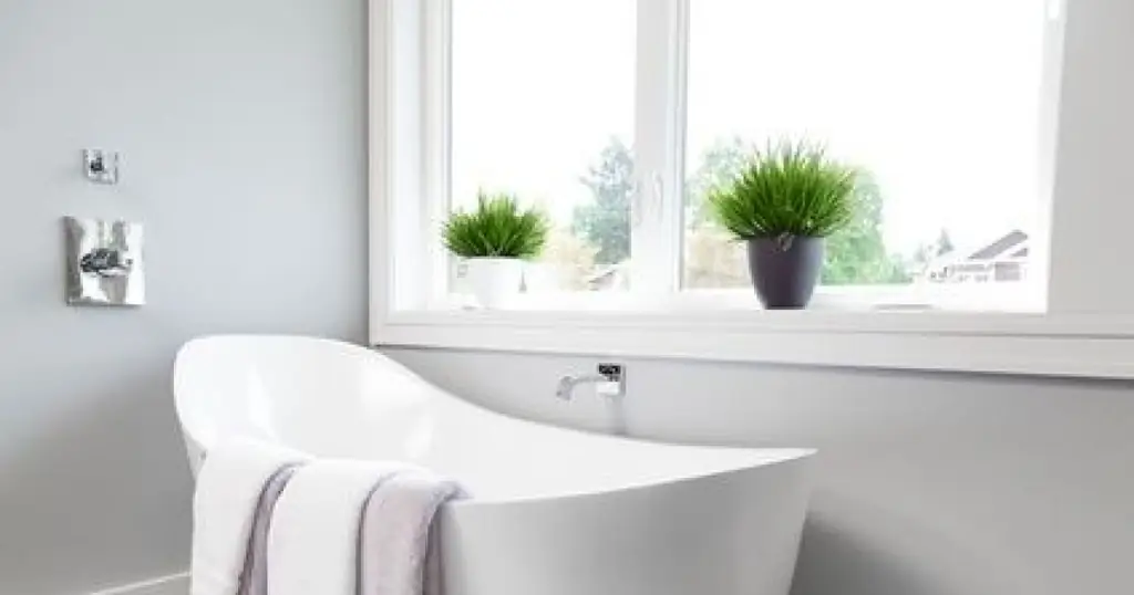 Какие растения выбрать для ванной ?