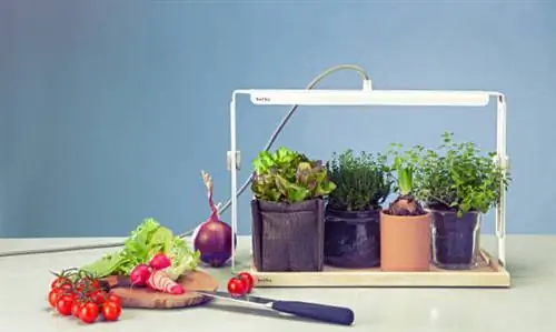 Изысканные аксессуары для кухни