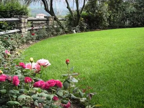 12 недорогих способов сделать так, чтобы ваш сад выглядел так, будто вы наняли профессионала