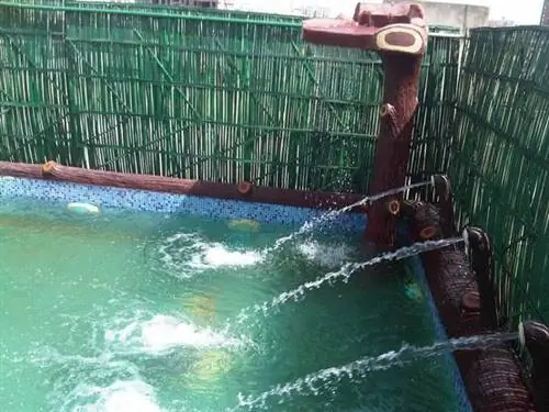 6 красочных идей для бассейнов: самый простой путь к природе & Омоложение