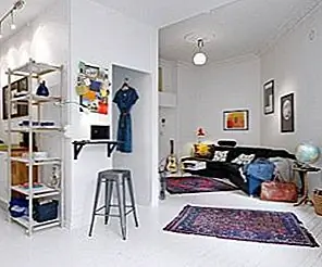 Бронированная квартира площадью 50 квадратных метров с декором из северных деревень