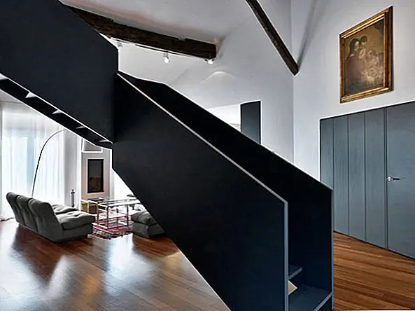 Художественный фокус, соединяющий живую и черную