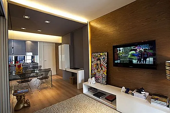 Маленький дизайн квартиры площадью 45 квадратных метров, оптимизированный Маурисио Карам