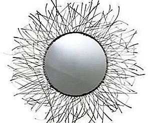 Круглое зеркало из водорослей