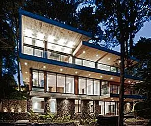 Современное лесное хозяйство в Гватемале