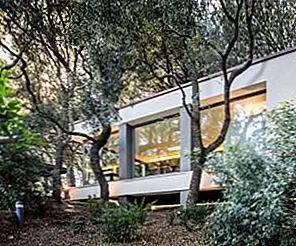 Современный дом в лесах, охраняемых дубовыми деревьями