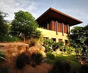 Прекрасный индийский отход от Mancini Enterprise