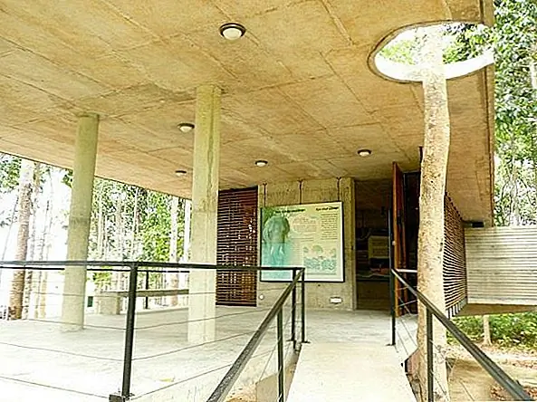 Платформа спроектирована в слоях, и есть повышенный уровень, на котором посетители могут наблюдать и анализировать окрестности. Внутри есть также выставочная площадка, специально созданная для посетителей. Кроме того, есть также специально спроектированное пространство, где они могут смотреть фильмы. Он выставил, сожженные глиняные кирпичные стены.