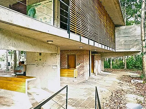 Внешний дизайн этого центра, по-видимому, естественно исчезает в окружении, поскольку он разделяет цвет и текстуру леса. Он более заметен ночью, когда загораются огни. Построение этого образовательного центра в фактически защищенном лесу было очень умной идеей, потому что одно - чему-то научить чему-то теоретически, и совсем другое - иметь возможность реально видеть, о чем вы говорите. {Found on contemporist}