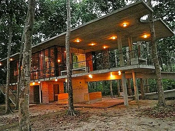 Центр в охраняемом лесу и заповеднике