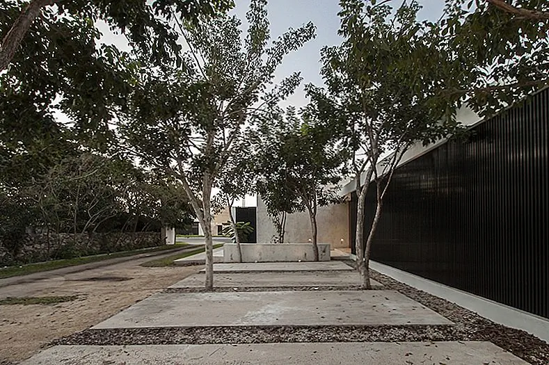 Архитекторы использовали эффективные материалы и методы строительства, чтобы поддерживать приятную простоту во всем. Несмотря на то, что внутренние жилые помещения легко связаны как друг с другом, так и с задним двором, они также кажутся близкими благодаря разделительным стенам, которые простираются наружу, разделяя бетонное патио на секции.