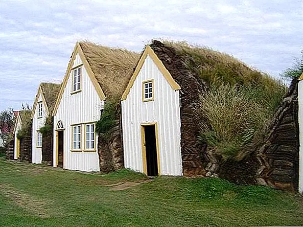 Их естественный внешний дизайн заставляет задуматься о логове медведей или других убежищ, встроенных в землю другими животными, которые пытались адаптировать суровые климатические условия. Возможно, они были вдохновлены жизненным стилем животных и использовали способы адаптации к различным ситуациям и условиям для своих жизненных жизненных моментов. {Found on wikie}.