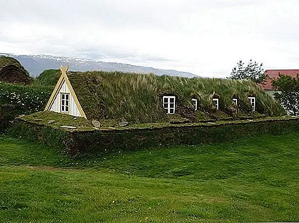 Уютные зеленые крытые террасные дома в Исландии