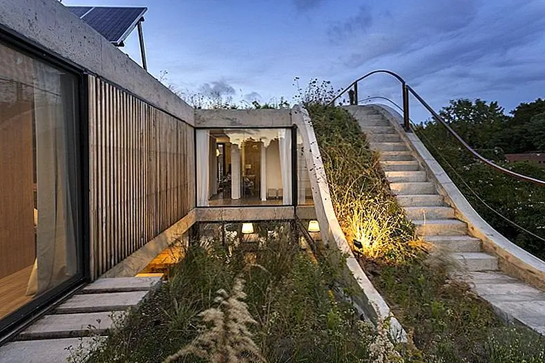 Экологичный дом, построенный вокруг вертикального сада