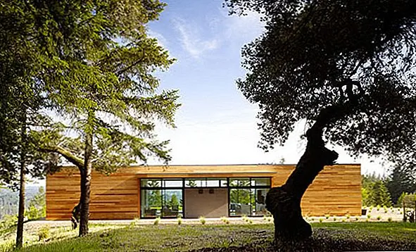 Исключительный зеленый дом в лесу