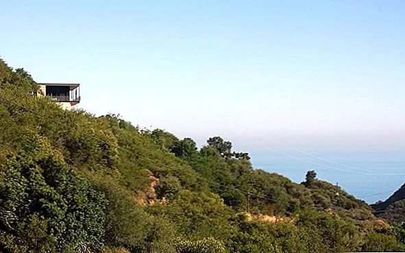 Очаровательная вилла, скрытая между пышной растительностью: The Blair Residence