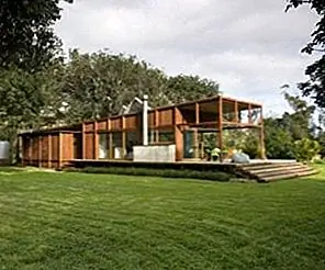 Частная резиденция, окруженная большими деревьями Пурири