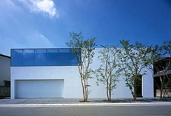 Непорочное место жительства с элегантным и трезвым чувством в Токио