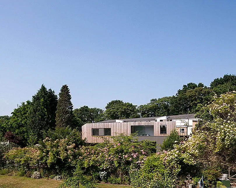 Нерегулярно-образный клин-дом, максимизирующий виды в Суррее, Англия