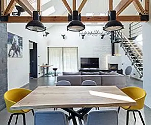 Заброшенный дом превратился в уютный дом для домашних животных