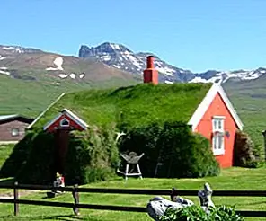 Красивые и зеленые исландские террасные дома