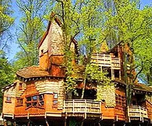 Дерево дома или дома в деревьях?