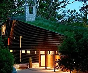 Преимущества наличия зеленой крыши