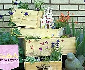 Приходите на сказочную землю с собственным сказочным садом