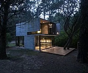 Компактный летний дом, скрытый в аргентинском лесу