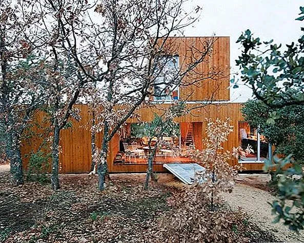 Устойчивый дом, скрытый в плотном дубовом лесу