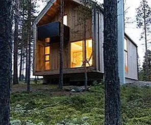 Единый дом Фалуньи Гуннара