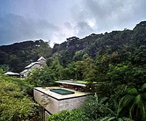 Семейный дом выходит из джунглей Бразилии