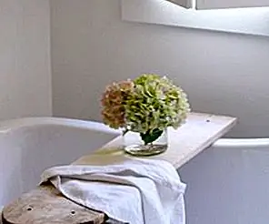 15 Идеи дизайна лотка для ванны для энтузиастов ванны среди нас