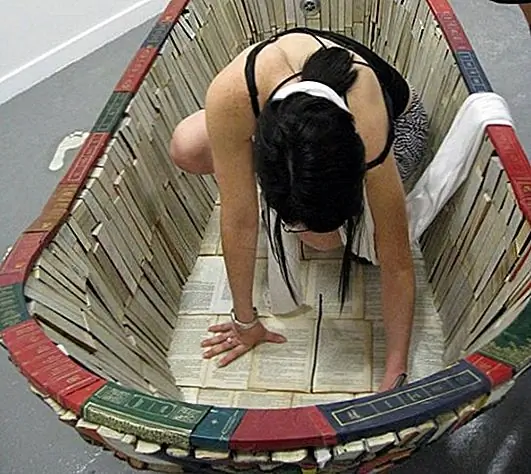 Изобретательное творчество Ванессы Манчини сделано почти полностью из книг. Каждая книга была отрезана и смонтирована самой художницей. Это была долгая и трудная задача, но результат очень впечатляющий. Затем книги были наложены на металлический каркас, который опирается на четыре античных стиля, похожих на львов. Это еще одна интересная деталь. Интересно, выбрал ли тот или иной тип книг для включения в свое творение. {Найден на территории}.