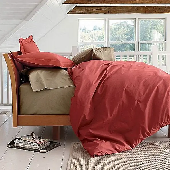 Жирный красный обложка / обложка обложки и обложка